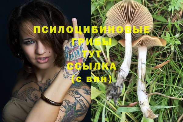 гашишное масло Абинск